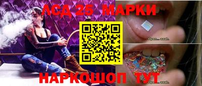 индика Заволжье