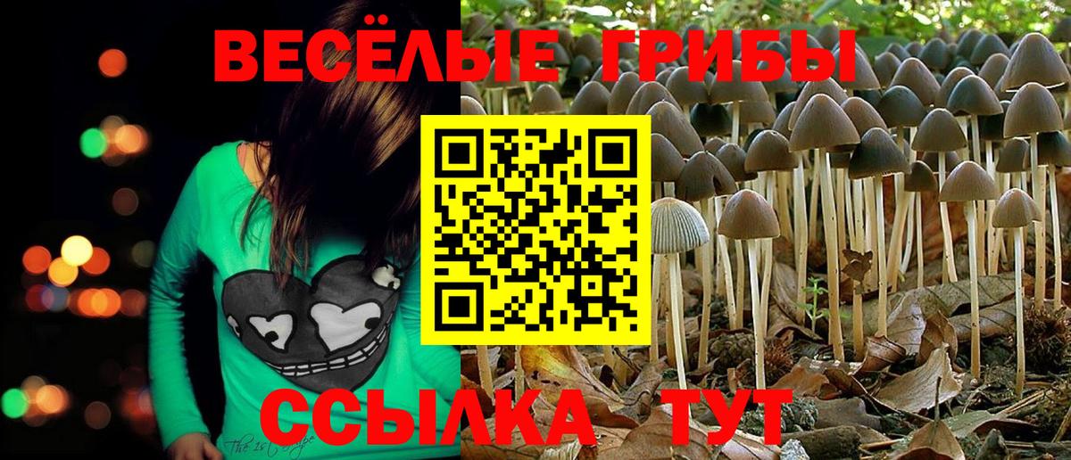 Воткинск  Галлюциногенные грибы прущие грибы  Псилоцибиновые грибы Cubensis  Вход с VPN 